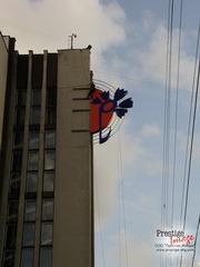 Illuminated Logo 