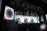 Stage decoration for 